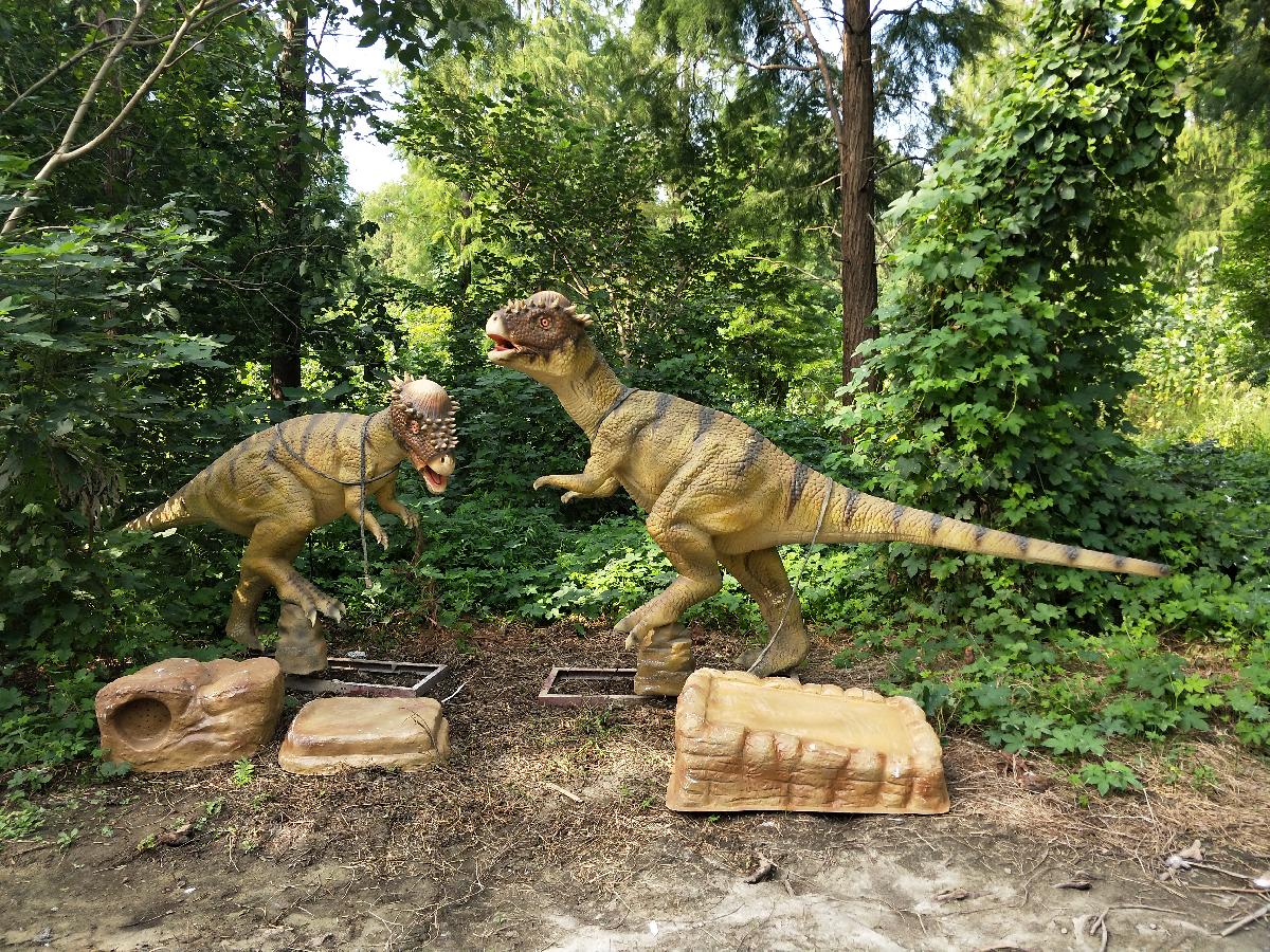 IMG20180912085348 IMG20180912085348